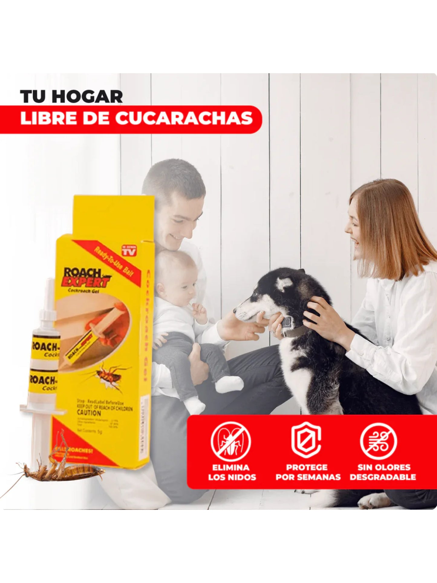 Roach Expert