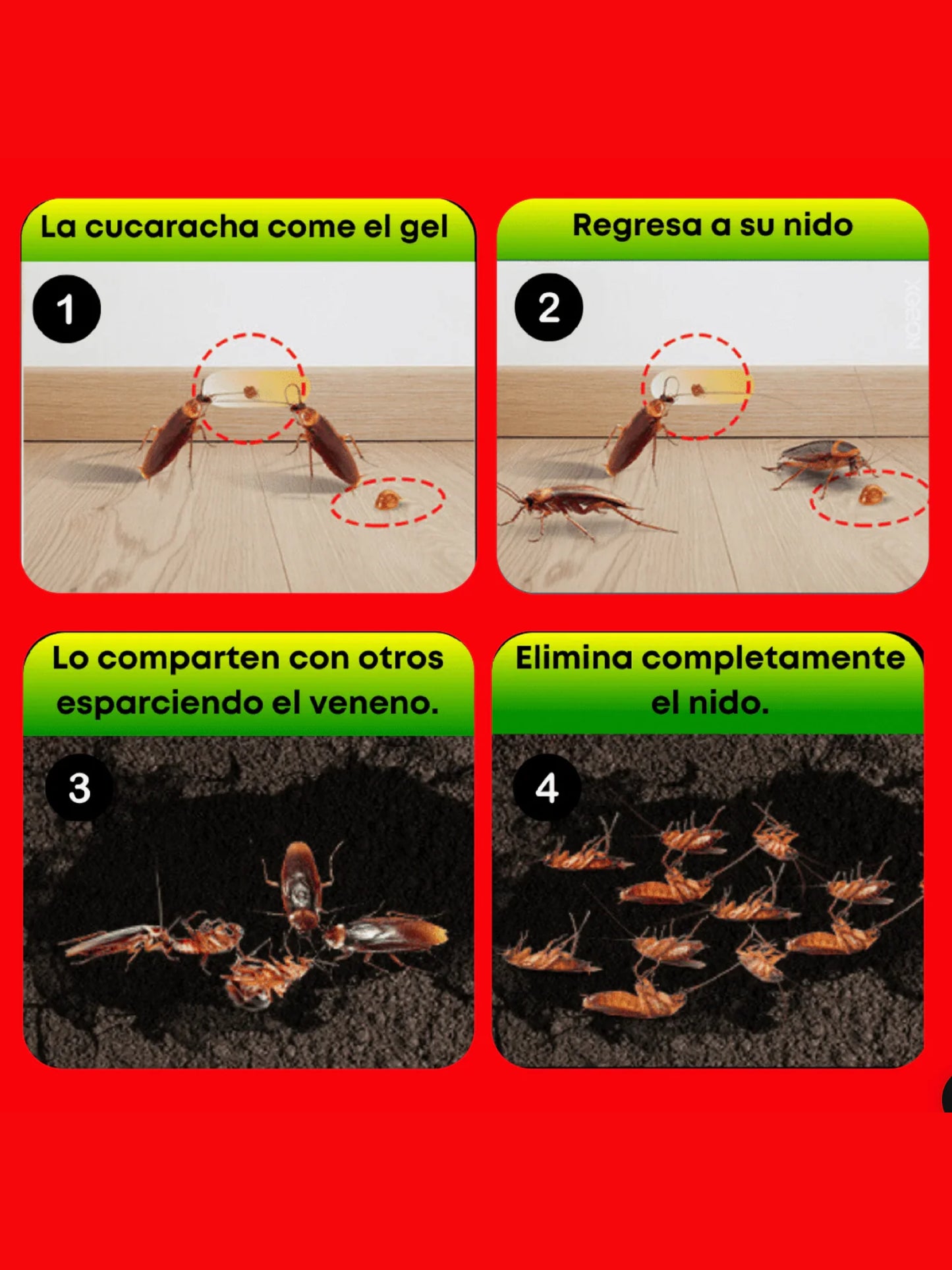 Roach Expert
