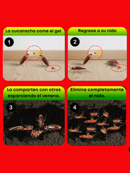 Roach Expert